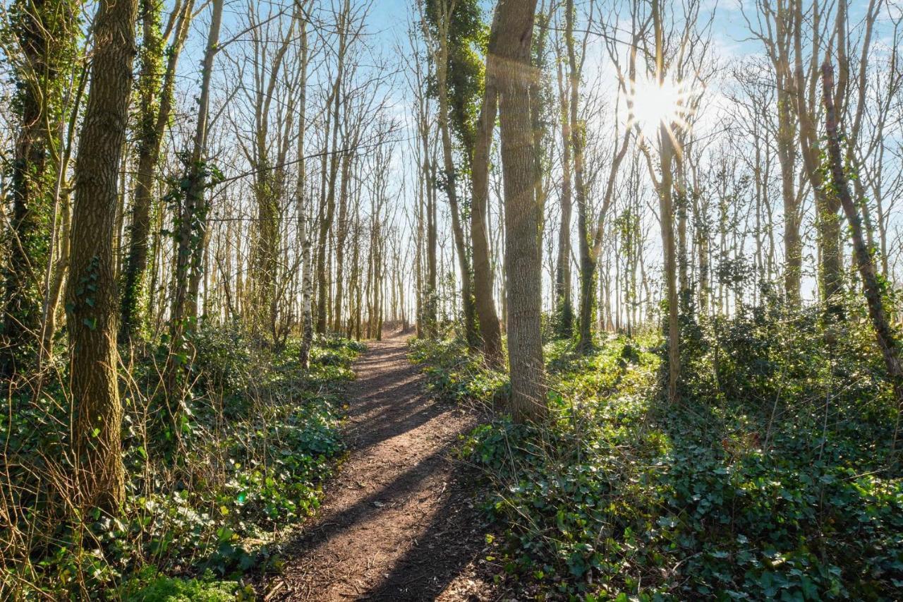 Sunnybeachhouse Aan Het Bos, Tussen Zee En Meer. Нордвейкерхаут Экстерьер фото